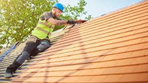 Best Roof Moss and Algae Removal  in Monmouth, OR
